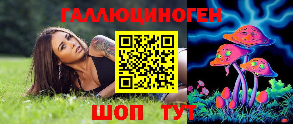 Мытищи  Галлюциногенные грибы ЛСД  Вход с VPN 